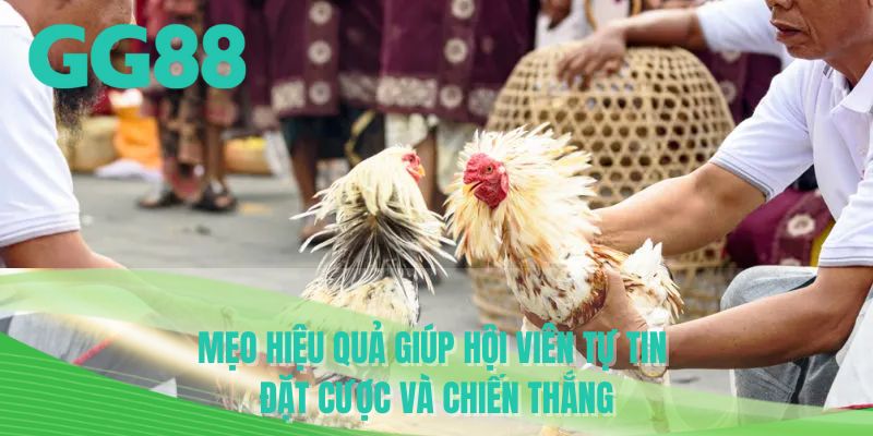 Mẹo hiệu quả giúp hội viên tự tin đặt cược và chiến thắng