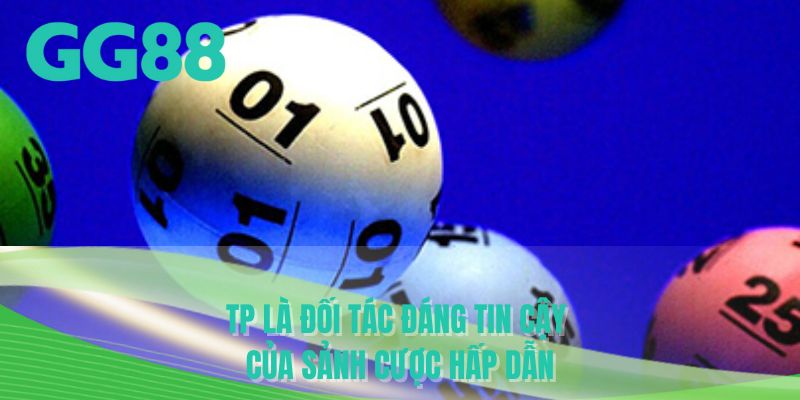 TP là đối tác đáng tin cậy của sảnh cược hấp dẫn